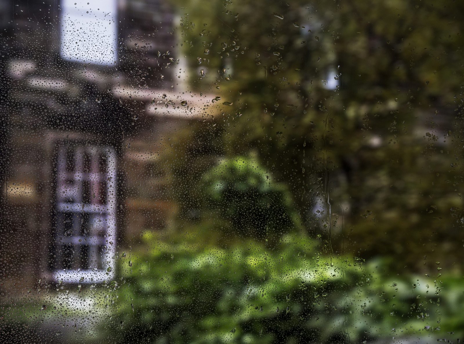 construção sitios epoca chuva